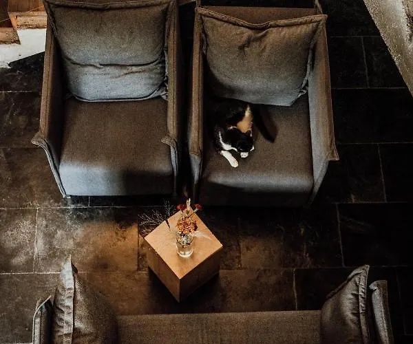 Hot_Elarnia Hotel & Spa Отель Пущиково